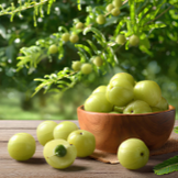 Amla