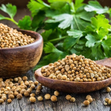 Coriander