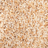 Sesame Seed